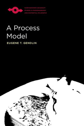 A Process Model Studies in Phenomenology and