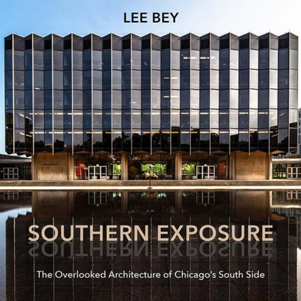 Southern Exposure The Overlooked Architecture of Chicagos South Side Second to None Chicago Stories