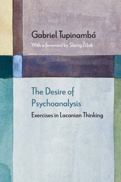The Desire of Psychoanalysis Exercises in Lacanian Thinking Diaeresis