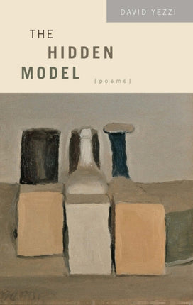 The Hidden Model Poems Triquarterly Books