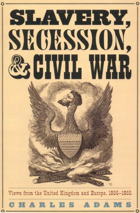 Slavery Secession and Civil War Views from the UK