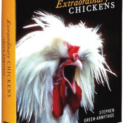 Extraordinary Chickens