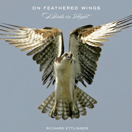 On Feathered Wings