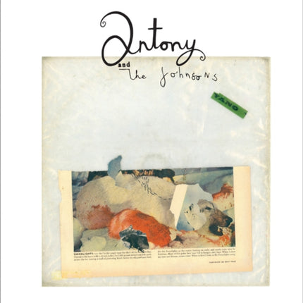 Antony and the Johnsons Swanlights