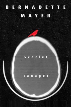 Scarlett Tanager  Poetry