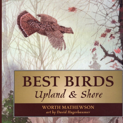 Best Birds: Upland and Shore