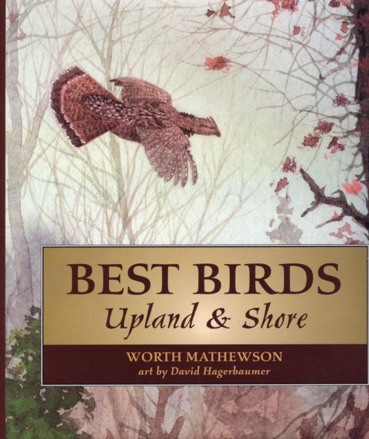 Best Birds: Upland and Shore