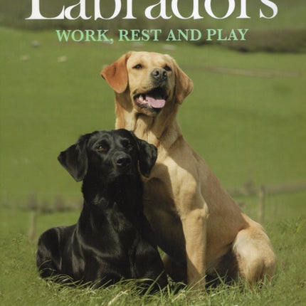 Labradors: Work, Rest and Play