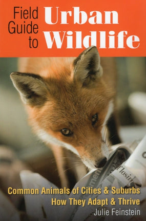 Field Guide to Urban Wildlife