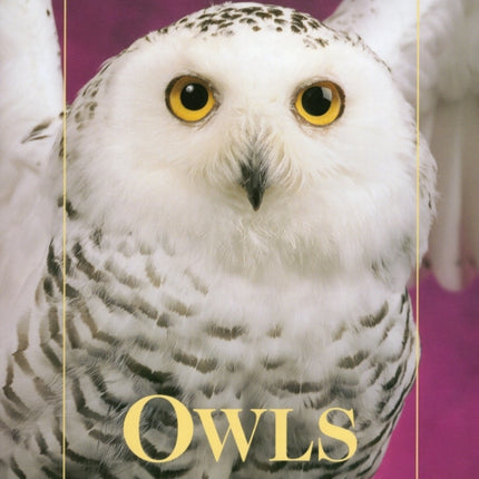 Owls