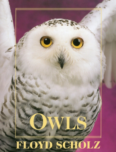 Owls