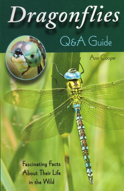 Dragonflies: Q&A Guide: Fascinating Facts about Their Life in the Wild