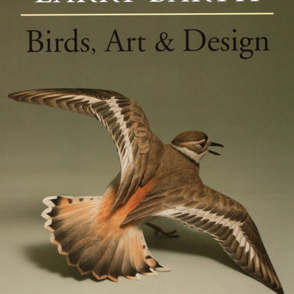 Birds, Art & Design