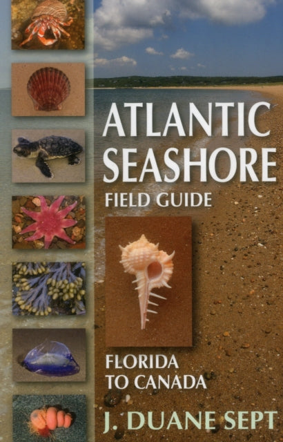 Atlantic Seashore Field Guide: Florida to Canada