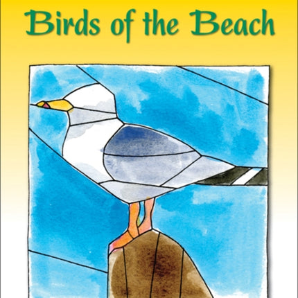 Birds of the Beach