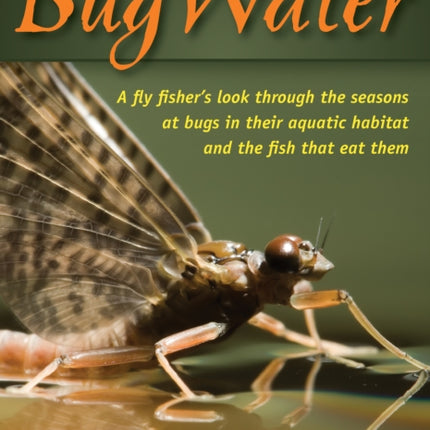 BugWater