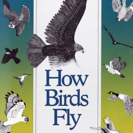 How Birds Fly