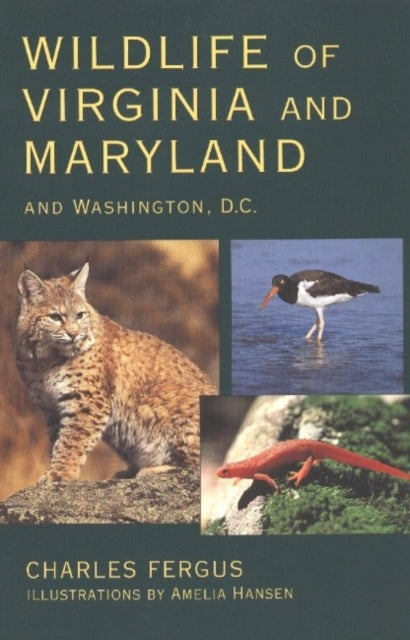 Wildlife of Virginia and Maryland And Washington