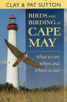 Birds and Birding at Cape May What to See When