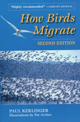 How Birds Migrate