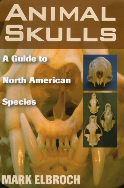 Animal Skulls: A Guide to North American Species