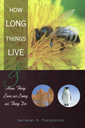 How Long Things Live: and How They Live as Long as They Do