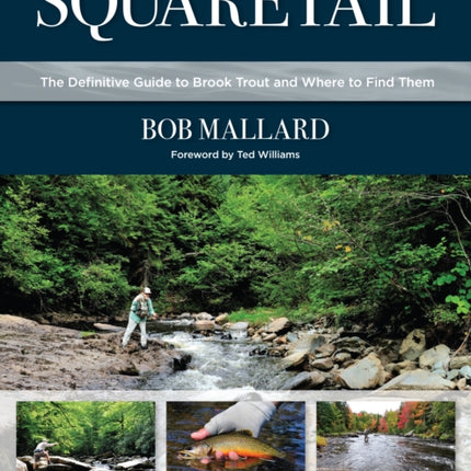 Squaretail: The Definitive Guide to Brook Trout and Where to Find Them