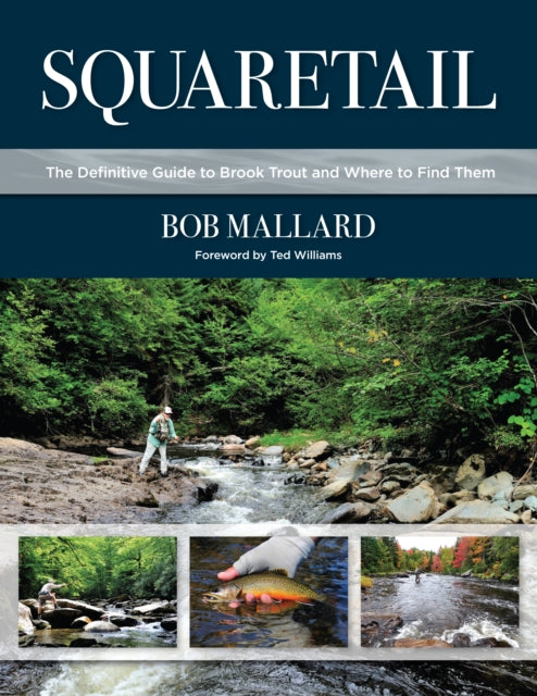 Squaretail: The Definitive Guide to Brook Trout and Where to Find Them