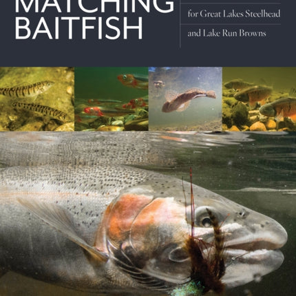 Matching Baitfish: Patterns and Techniques for Great Lakes Steelhead and Lake Run Browns