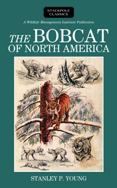 The Bobcat of North America Its History Life