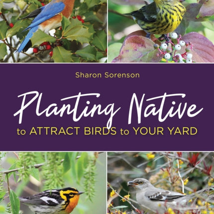 Planting Native to Attract Birds to Your Yard