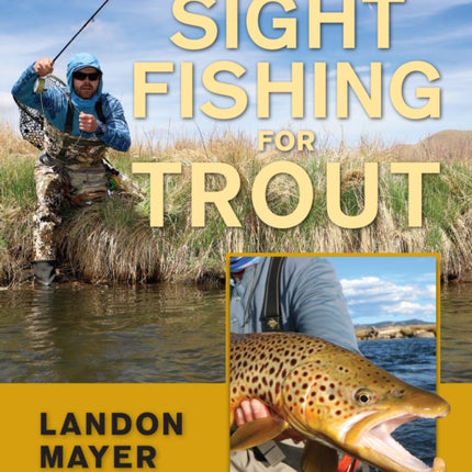 Sight Fishing for Trout