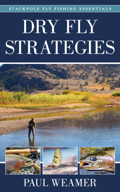 Dry Fly Strategies