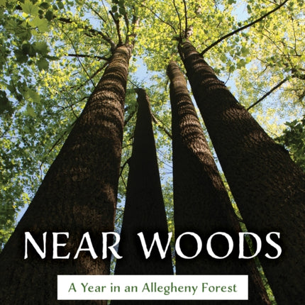 Near Woods: A Year in an Allegheny Forest