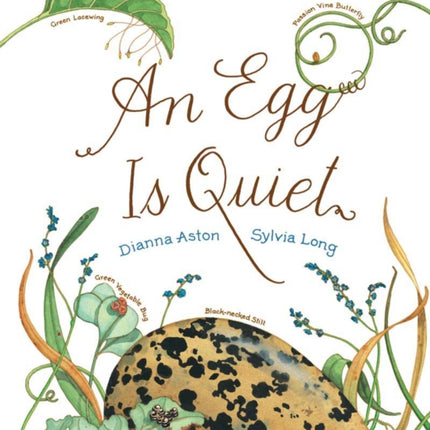 An Egg Is Quiet