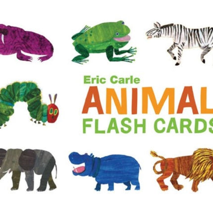 Animal Flash Cards