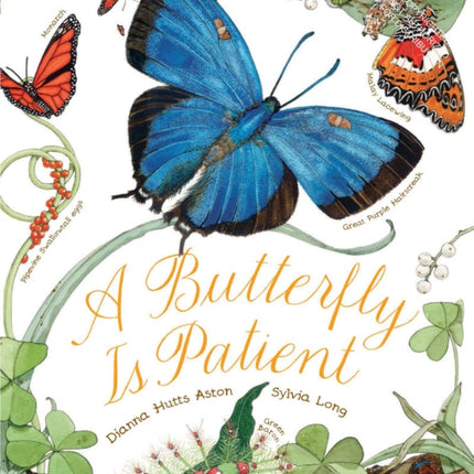 Butterfly Is Patient