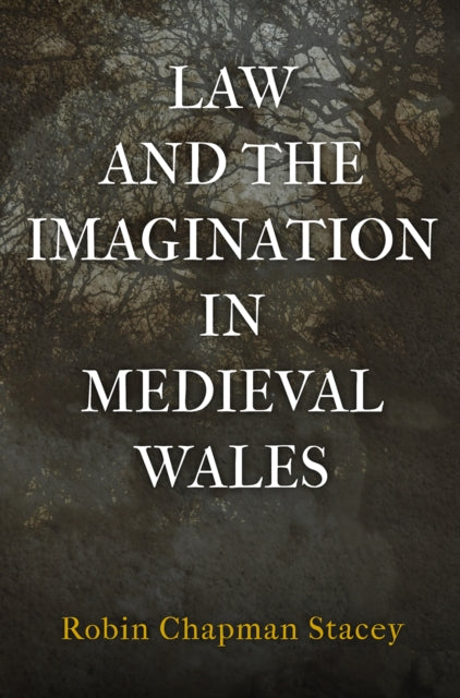 Law and the Imagination in Medieval Wales