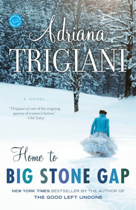 Home to Big Stone Gap: A Novel