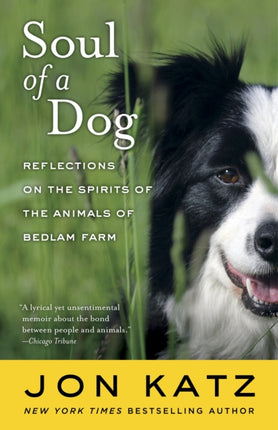 Soul of a Dog: Reflections on the Spirits of the Animals of Bedlam Farm