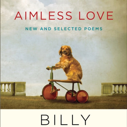 Aimless Love