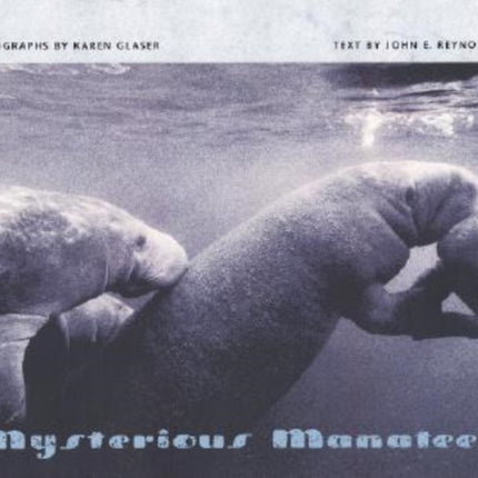 Mysterious Manatees