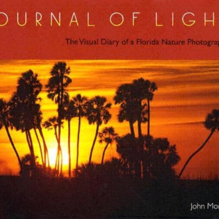 Journal of Light  The Visual Diary of a Florida