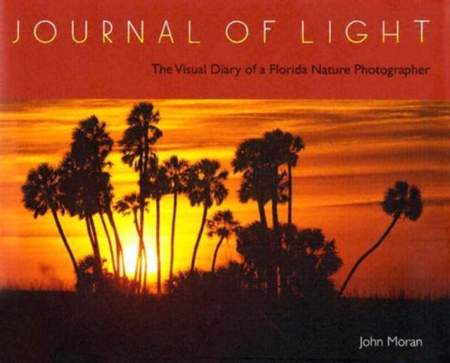 Journal of Light  The Visual Diary of a Florida