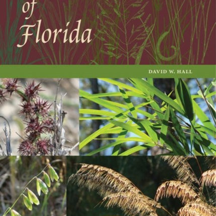 Grasses of Florida