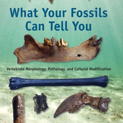 What Your Fossils Can Tell You