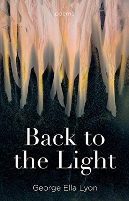 Back to the Light: Poems