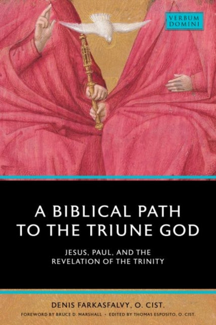 A Biblical Path to the Triune God: Jesus, Paul, and the Revelation of the Trinity