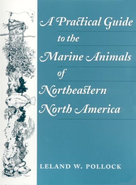 A Practical Guide to the Marine Animals of Northeastern North America