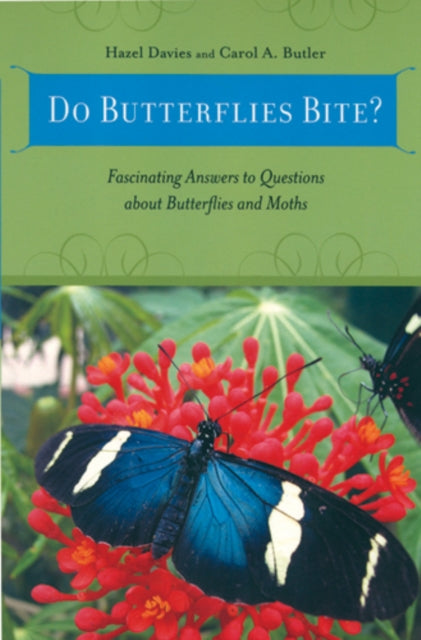 Do Butterflies Bite Fascinating Answers to